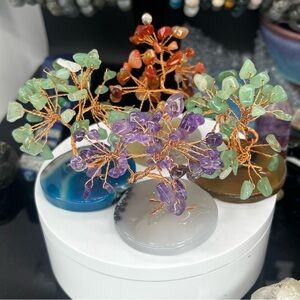 Money Tree on mini Slab